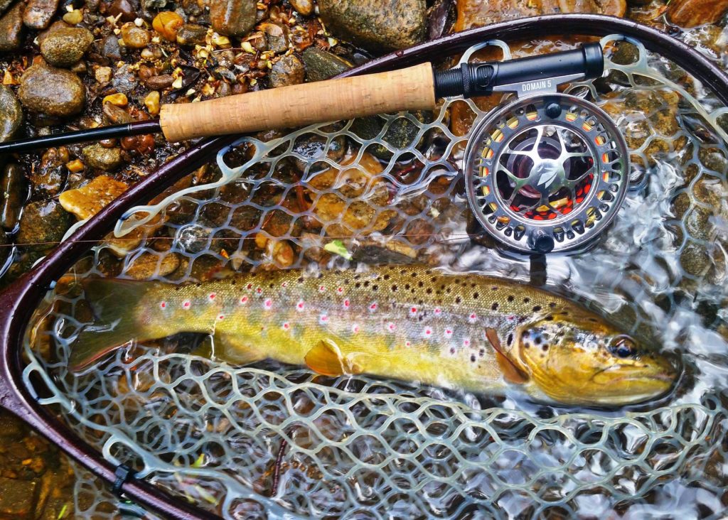 Fishing In Cherokee NC - Raven Fork Trophy Waters, Oconaluftee River