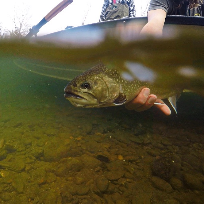 Float Trips - Fontana Guides