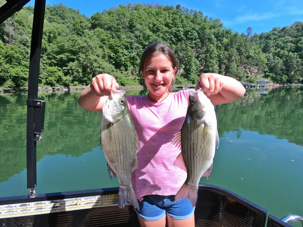 fontana-white-bass-1