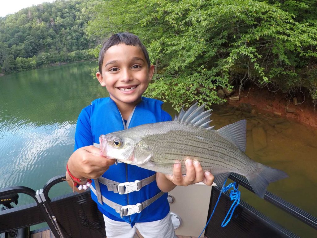 white-bass-fontana