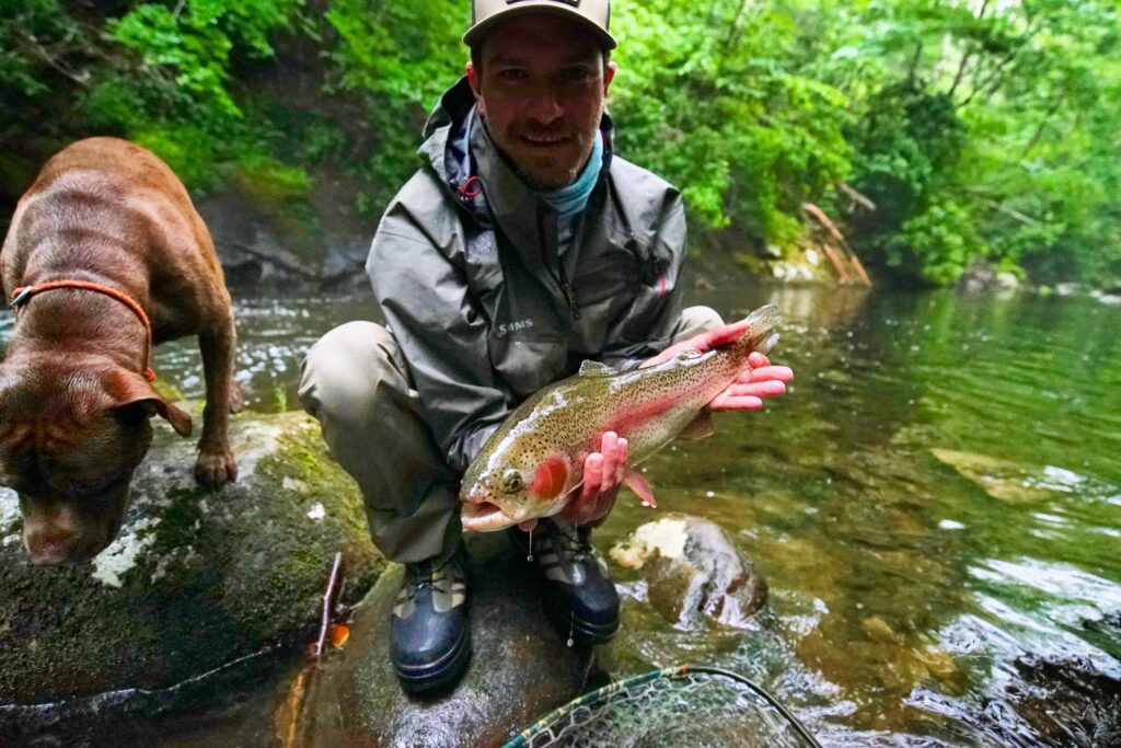 Hazel Creek in the Great Smoky Mountains National Park is one of North  Carolina's best-known and best trout streams