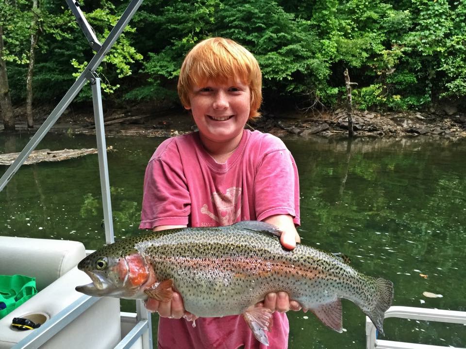 12+ Fontana Lake Fishing